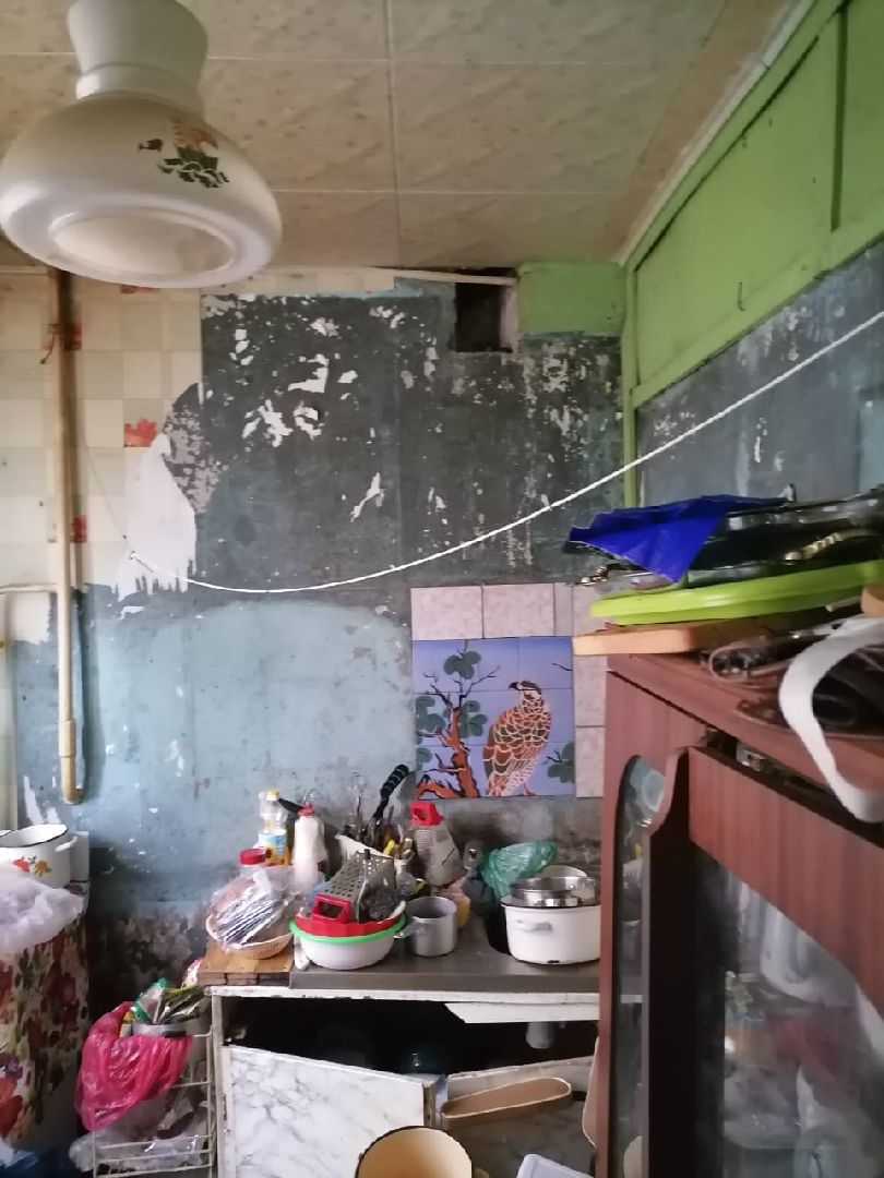 Лобня, ЖКХ, таракан