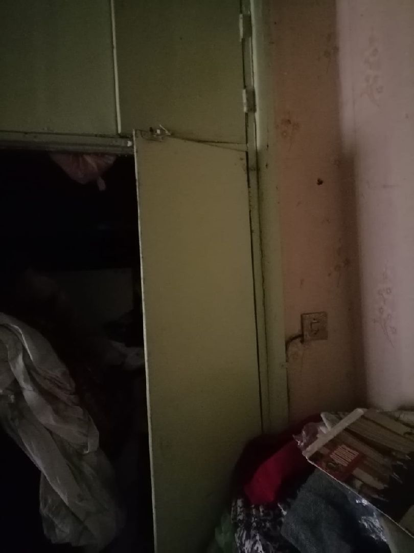 Лобня, ЖКХ, таракан