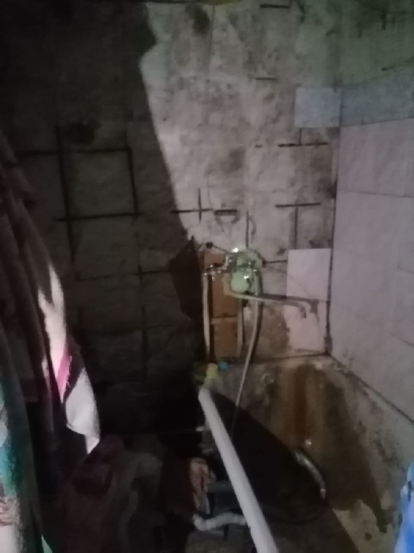 Лобня, ЖКХ, таракан