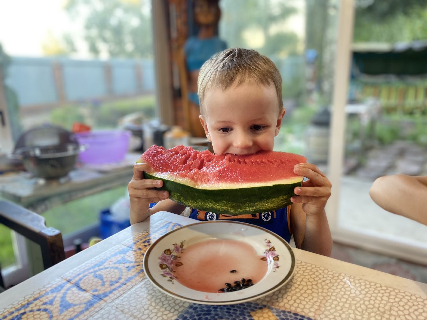 арбузы, Воскресенск, лето, бахчевые развалы