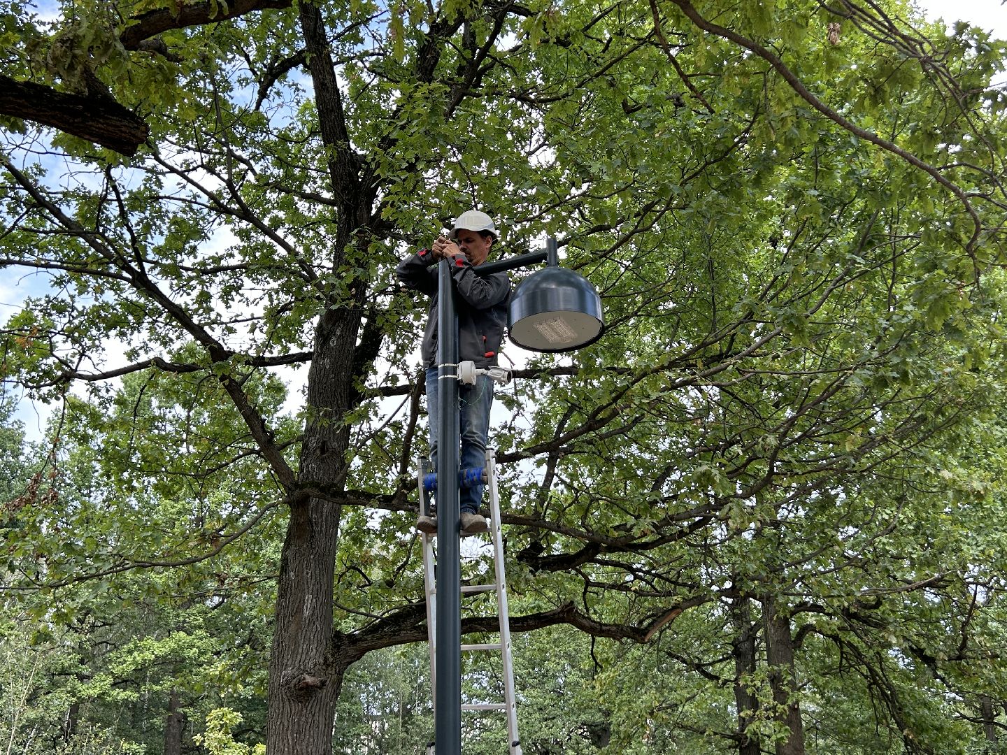 благоустройство, лесопарк, Фрязино
