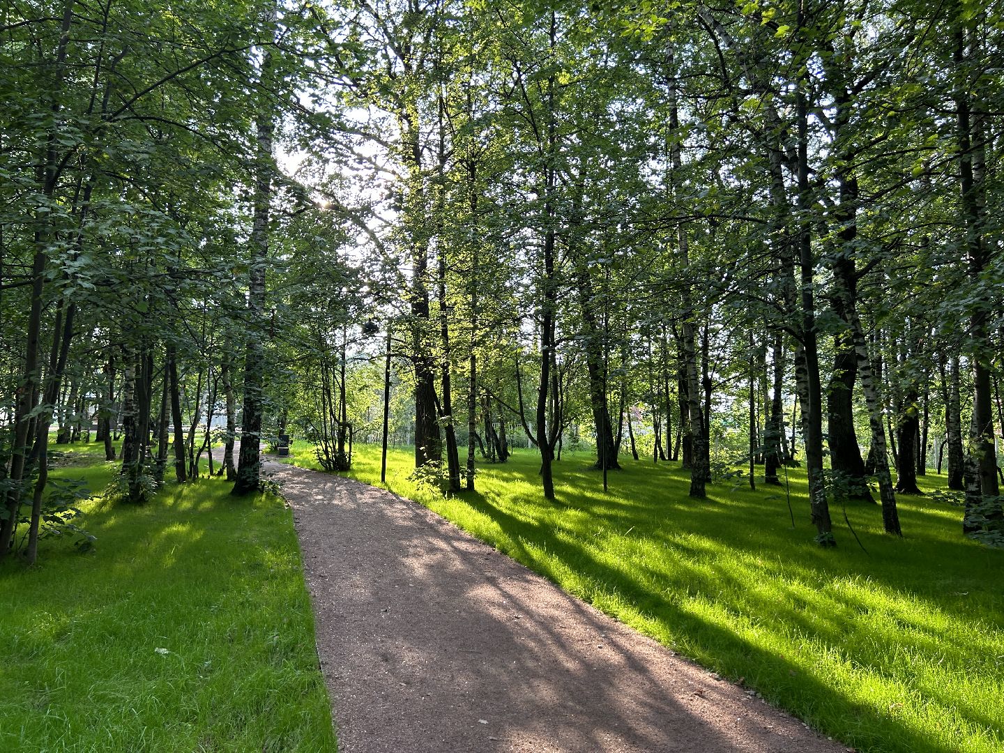 благоустройство, лесопарк, Фрязино