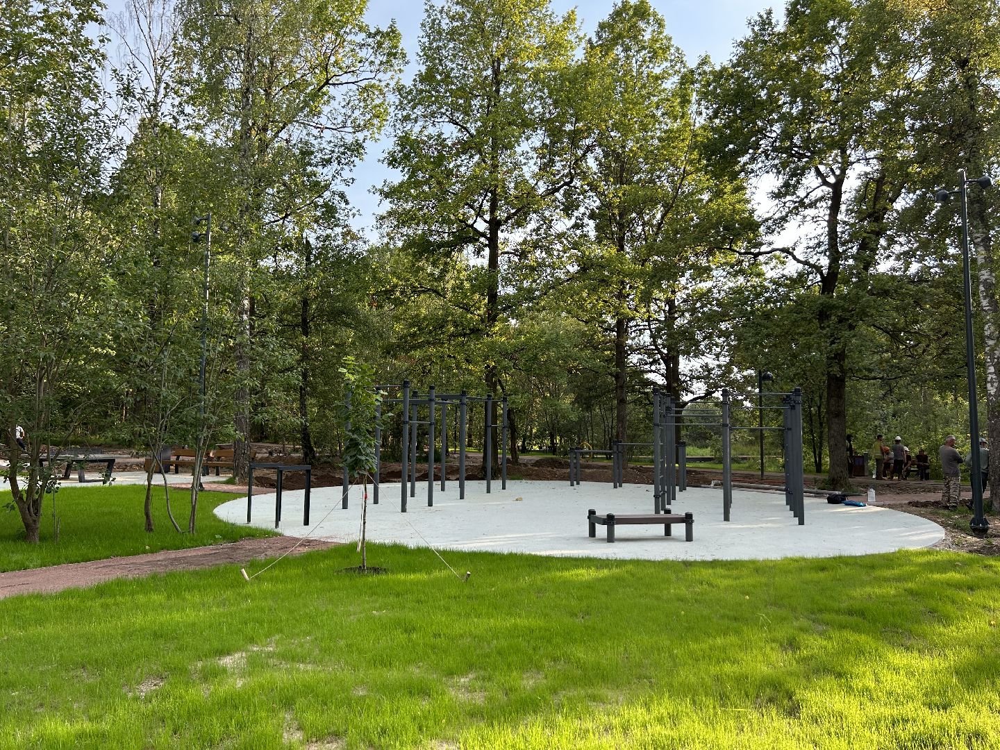 благоустройство, лесопарк, Фрязино