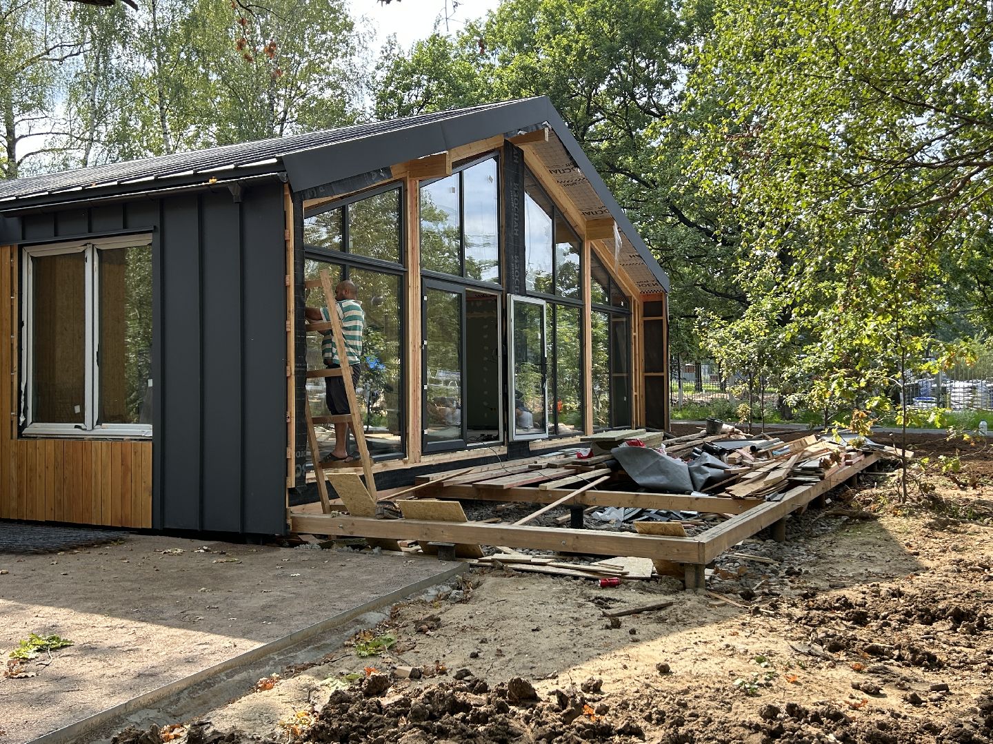 благоустройство, лесопарк, Фрязино