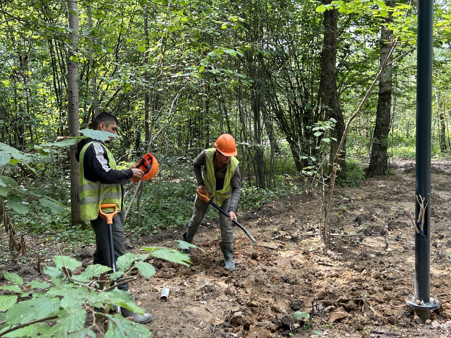 благоустройство, лесопарк, Фрязино