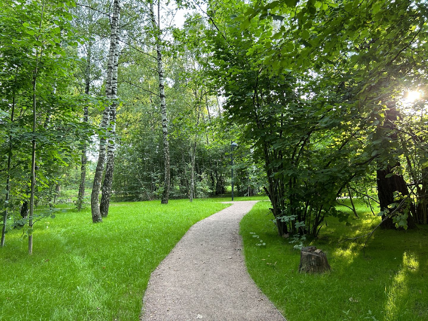 благоустройство, лесопарк, Фрязино