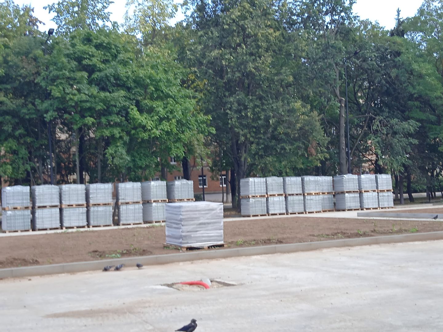 сквер, Звёздный, реконструкция, план, мощение, озеленение