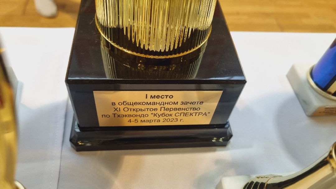 Подмосковье, Ивантеевка, спорт, тхэквондо