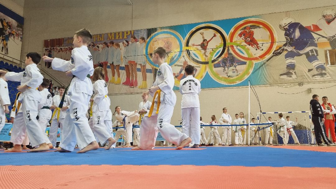 Подмосковье, Ивантеевка, спорт, тхэквондо