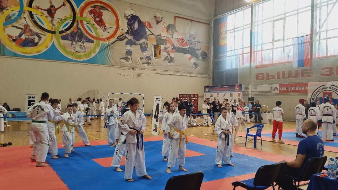 Подмосковье, Ивантеевка, спорт, тхэквондо