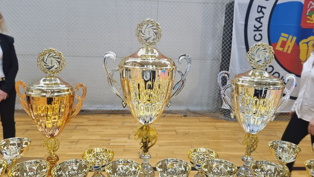 Подмосковье, Ивантеевка, спорт, тхэквондо