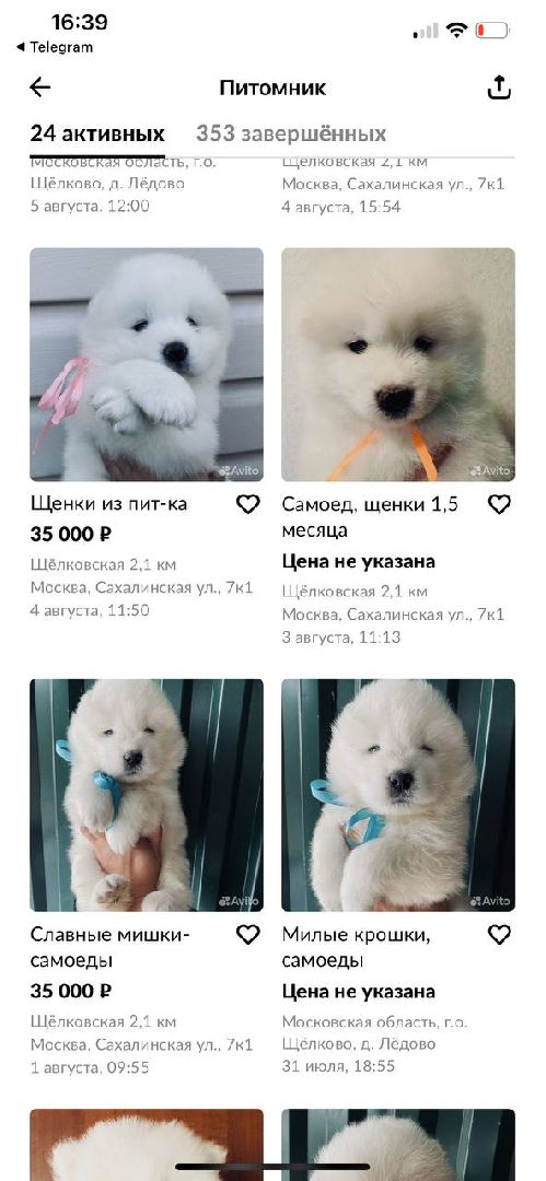 SOS, брошенные собаки, породистые собаки, разведенцы, жестокое обращение с животными, Томилино