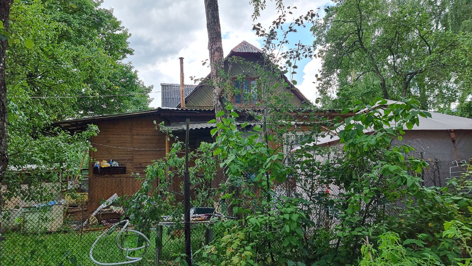 SOS, брошенные собаки, породистые собаки, разведенцы, жестокое обращение с животными, Томилино