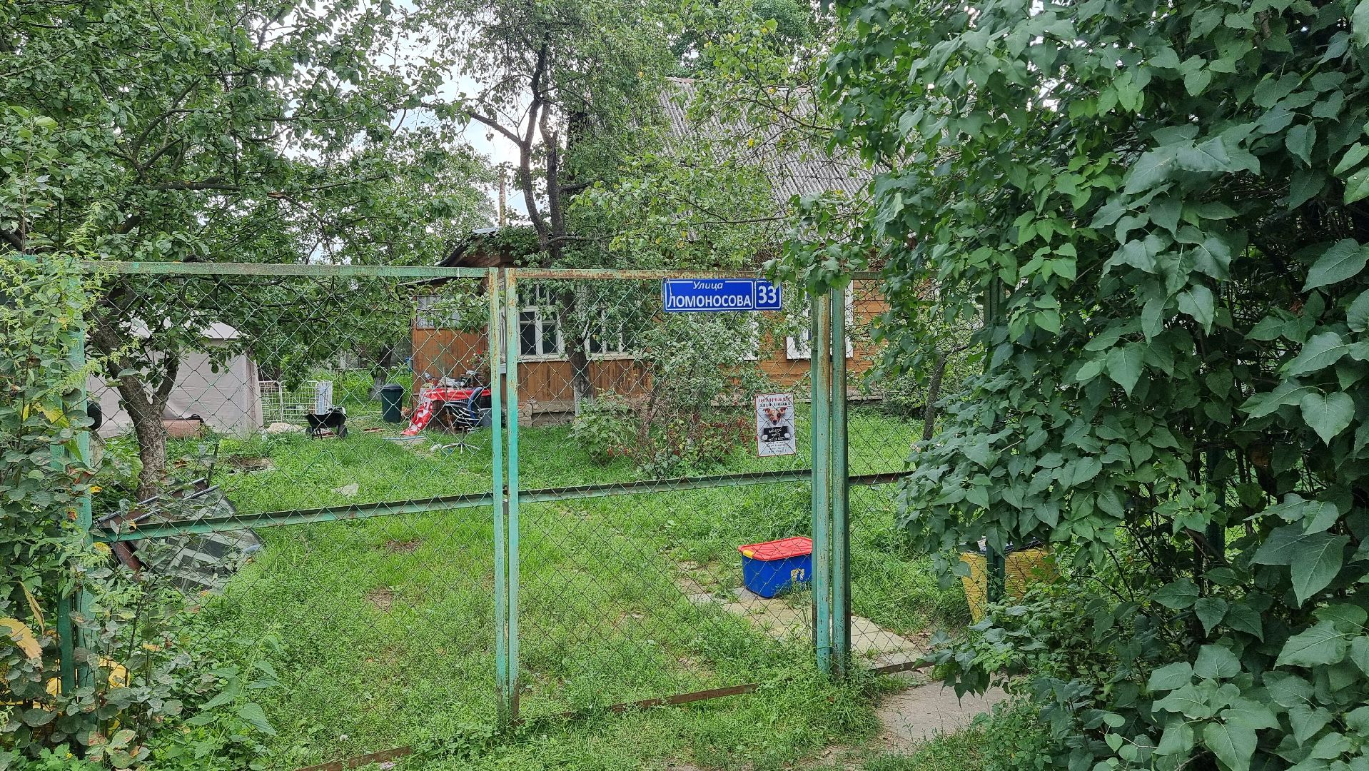 SOS, брошенные собаки, породистые собаки, разведенцы, жестокое обращение с животными, Томилино