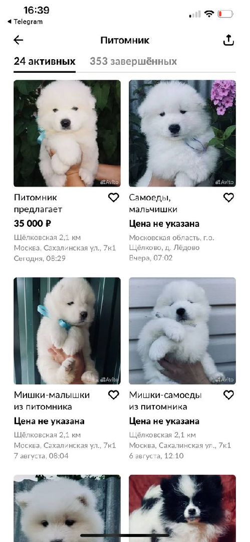 SOS, брошенные собаки, породистые собаки, разведенцы, жестокое обращение с животными, Томилино