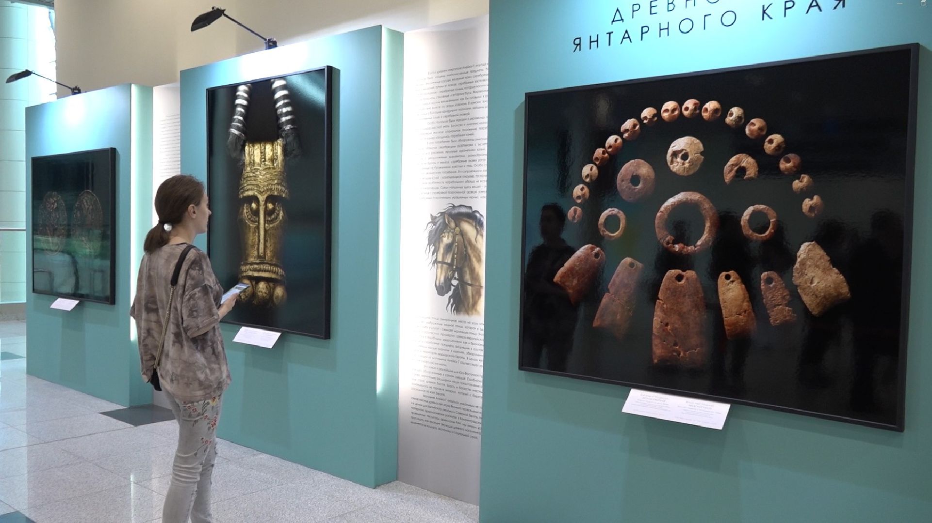 Янтарный край, выставка, аэропорт Домодедово