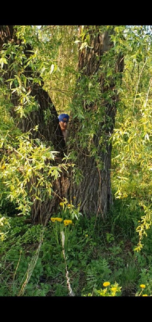 Чехов, жители, педофил, полиция, задержание