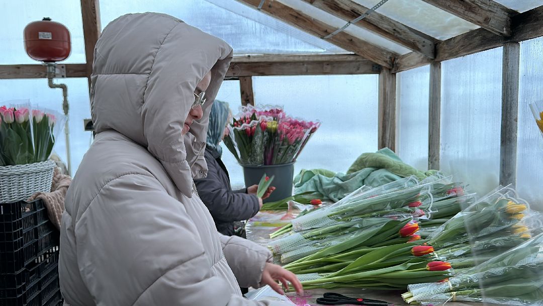 Одинцовский округ, Семейный бизнес, Многодетные семьи, 8 марта, Тюльпаны, Галина Погончикова, село Каринское
