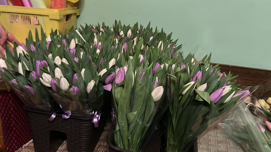 Одинцовский округ, Семейный бизнес, Многодетные семьи, 8 марта, Тюльпаны, Галина Погончикова, село Каринское