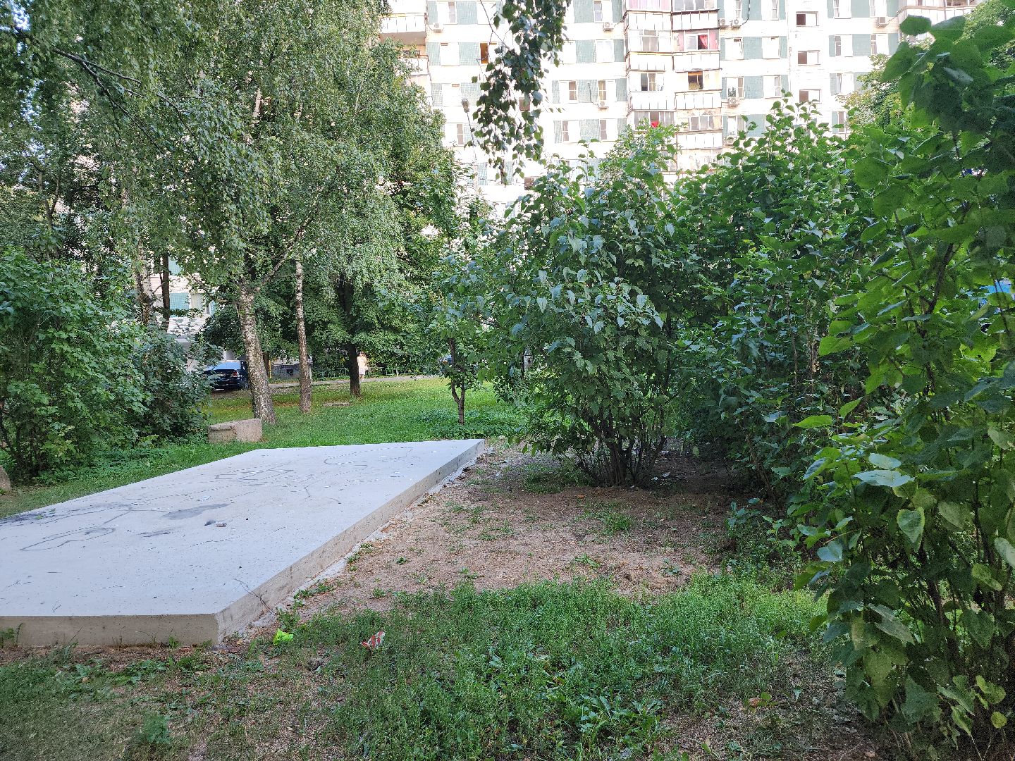 депутат; инициатива; жители; досуг; видное