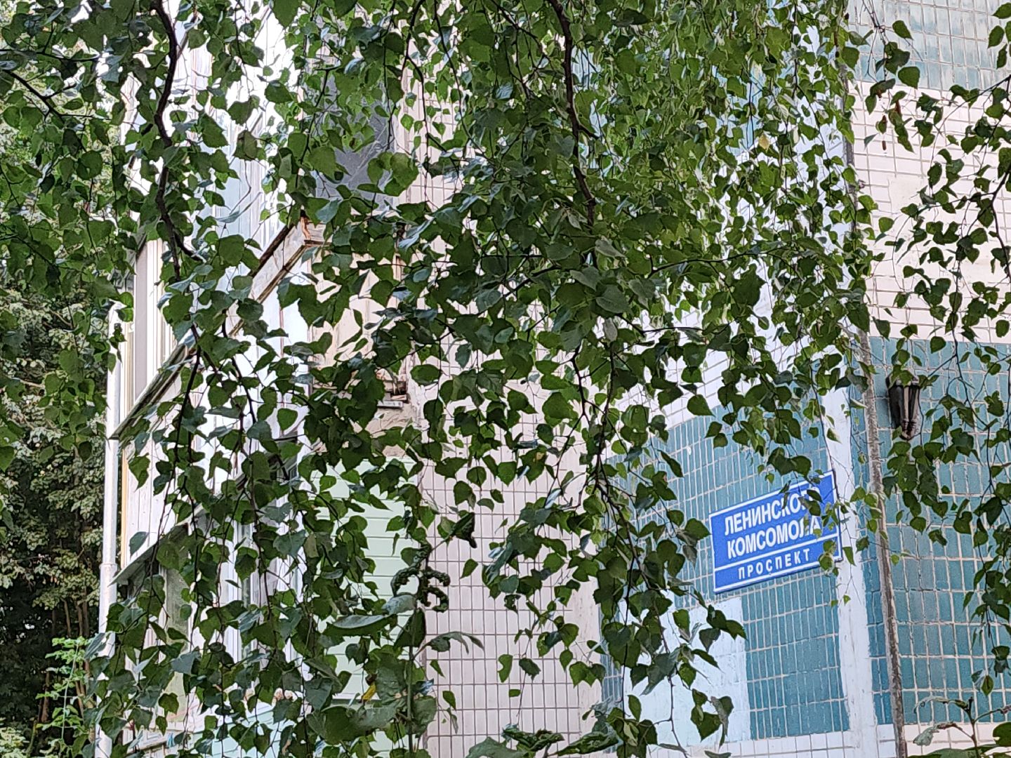 депутат; инициатива; жители; досуг; видное