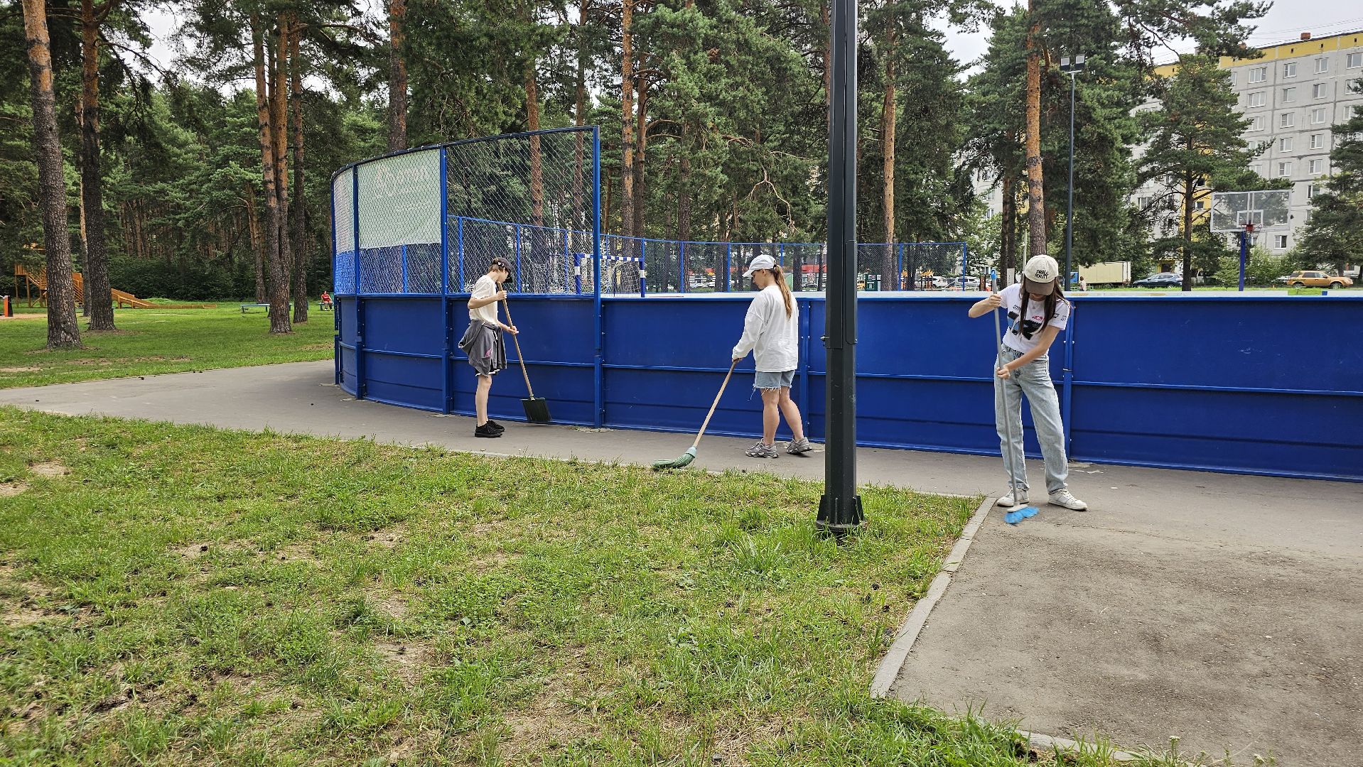 школьное трудоустройство, бригада зеленого хозяйства, Кузьминский лесопарк, Котельники