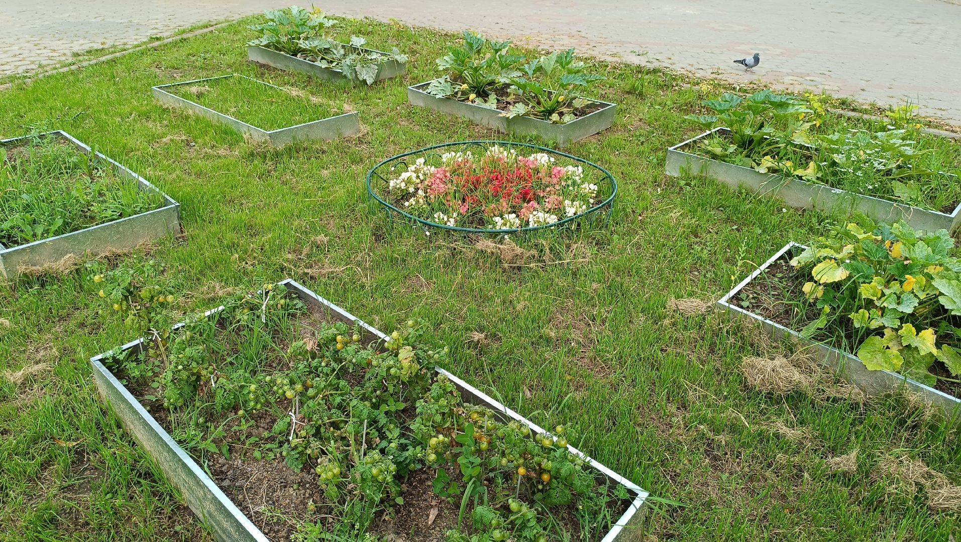 Лобня, огород, парк