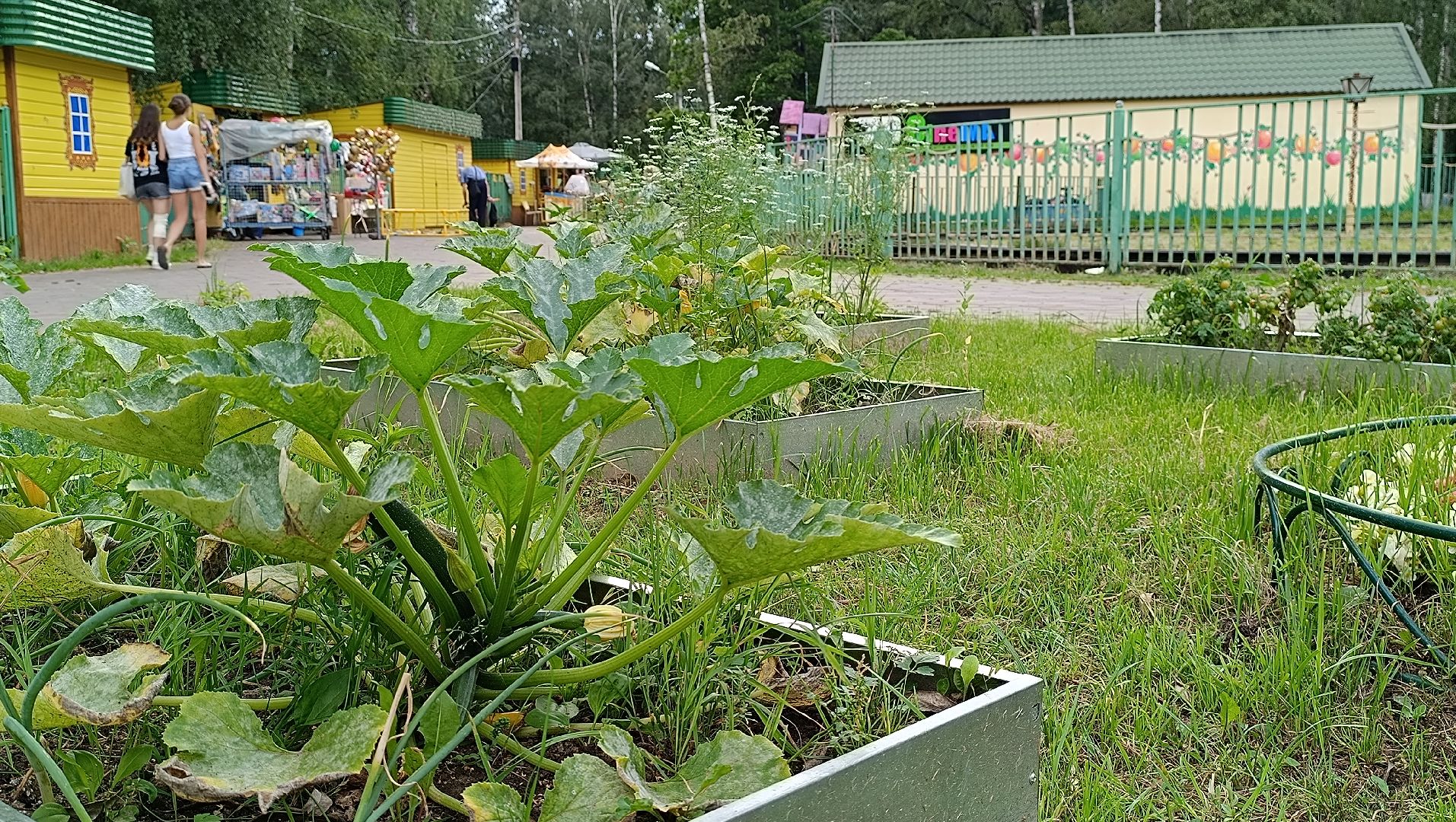 Лобня, огород, парк