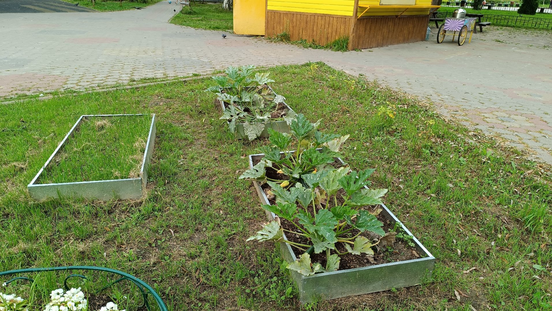 Лобня, огород, парк