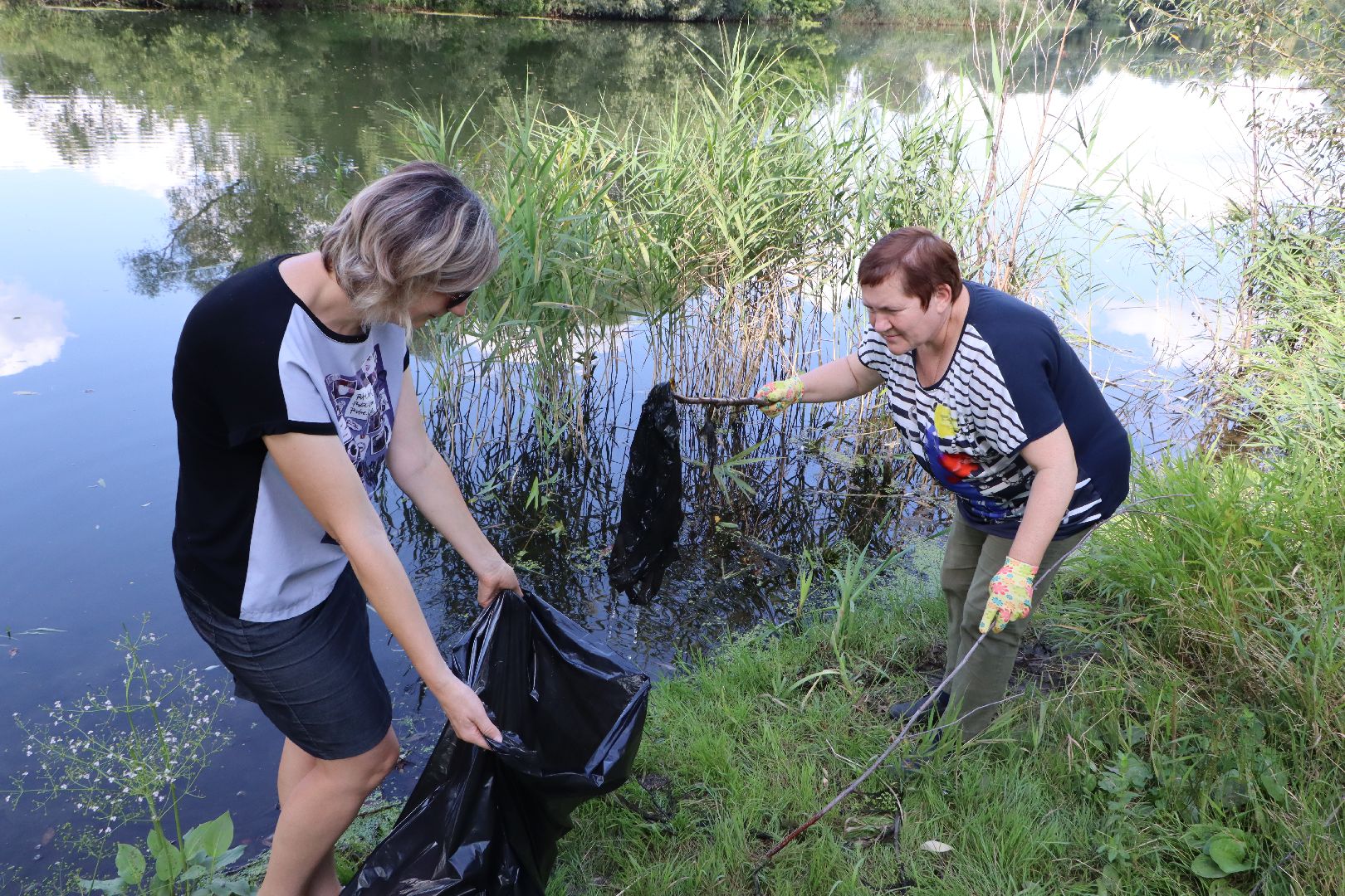 Серебряные Пруды, экология