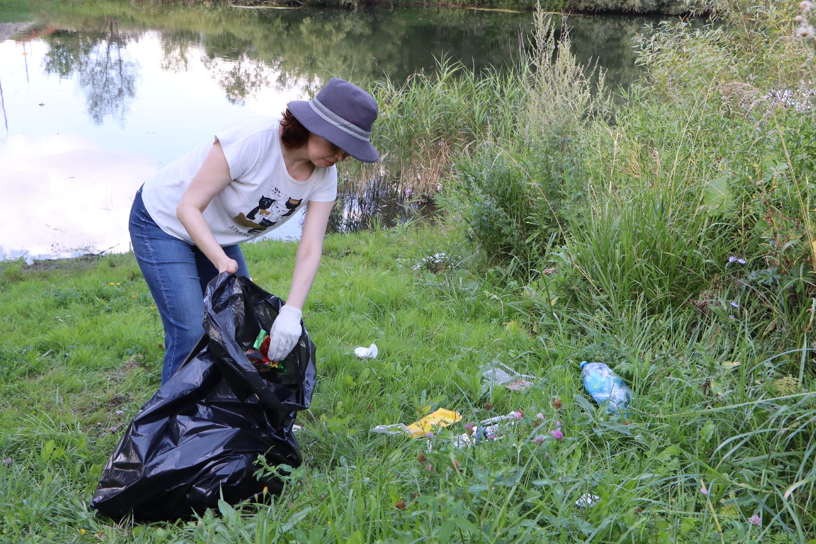 Серебряные Пруды, экология