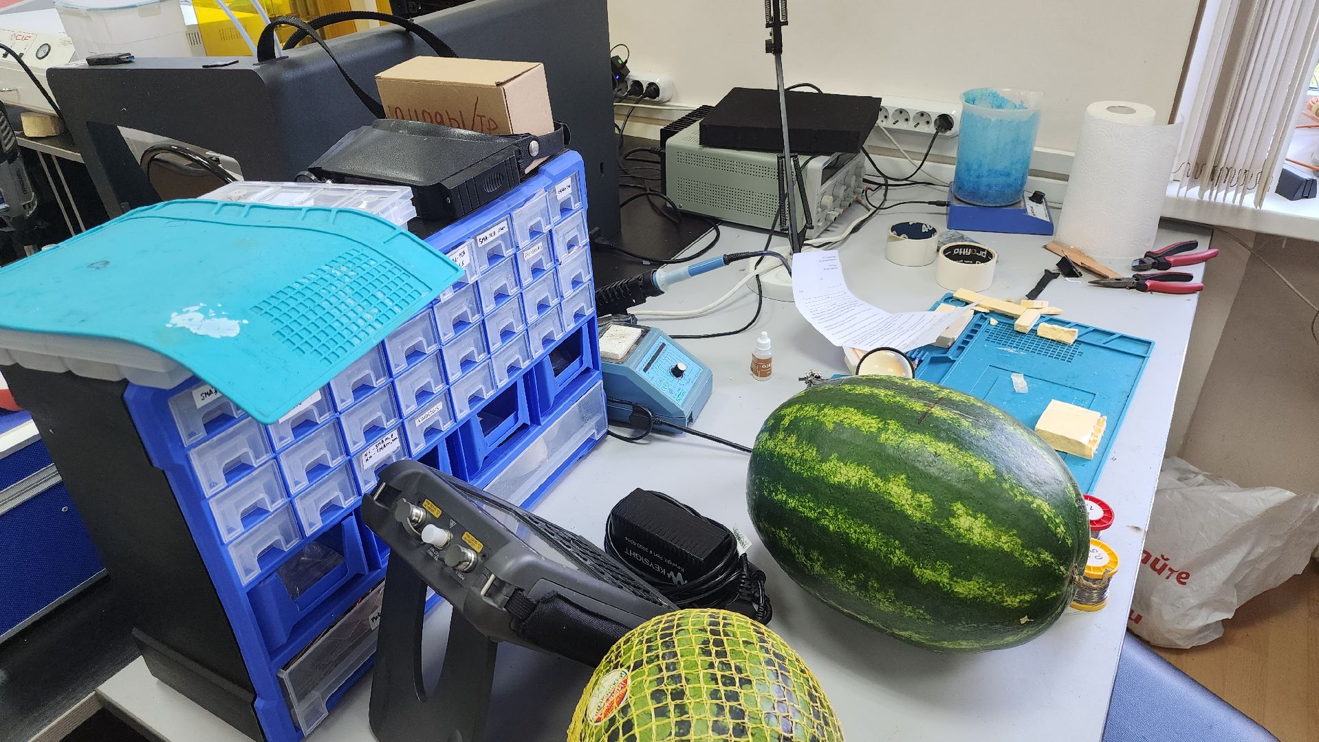 Долгопрудный, МФТИ, ученые, арбузы, антенна, сенсор