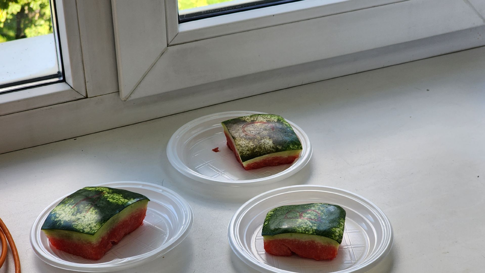 Долгопрудный, МФТИ, ученые, арбузы, антенна, сенсор