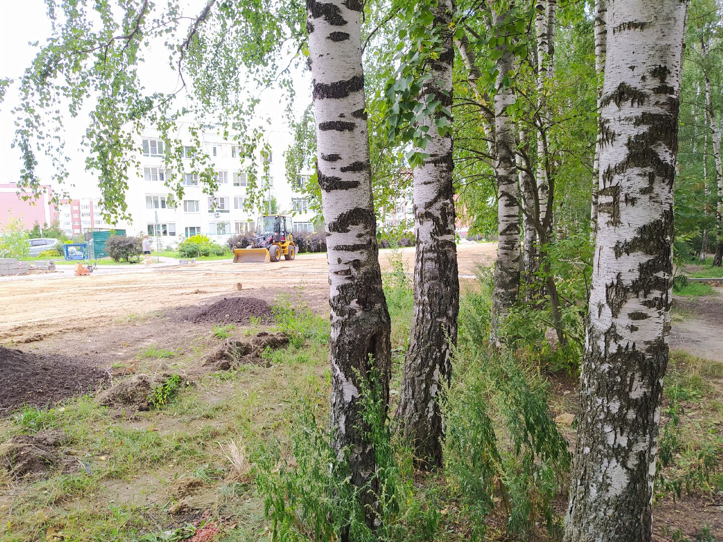 Благоустройство, Чёрная, Дедовск, Нахабино, работы, Истра