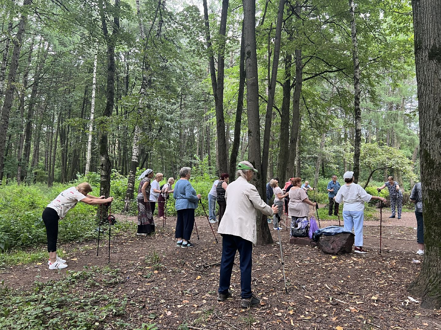 Химки, спорт, Активное долголетие, скандинавская ходьба, День физкультурника