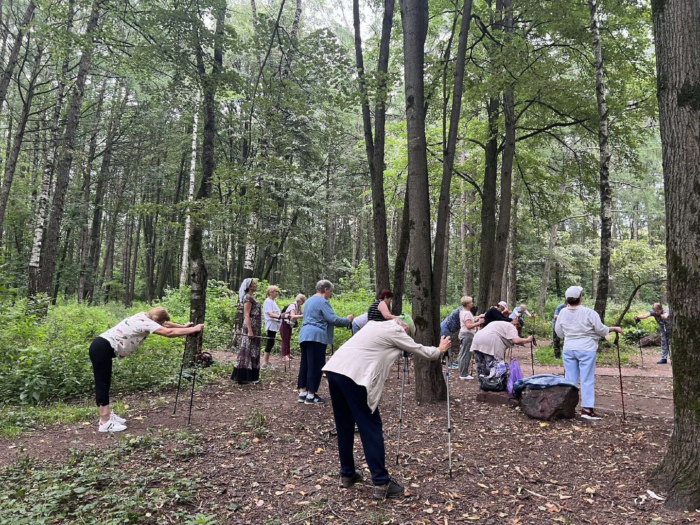 Химки, спорт, Активное долголетие, скандинавская ходьба, День физкультурника