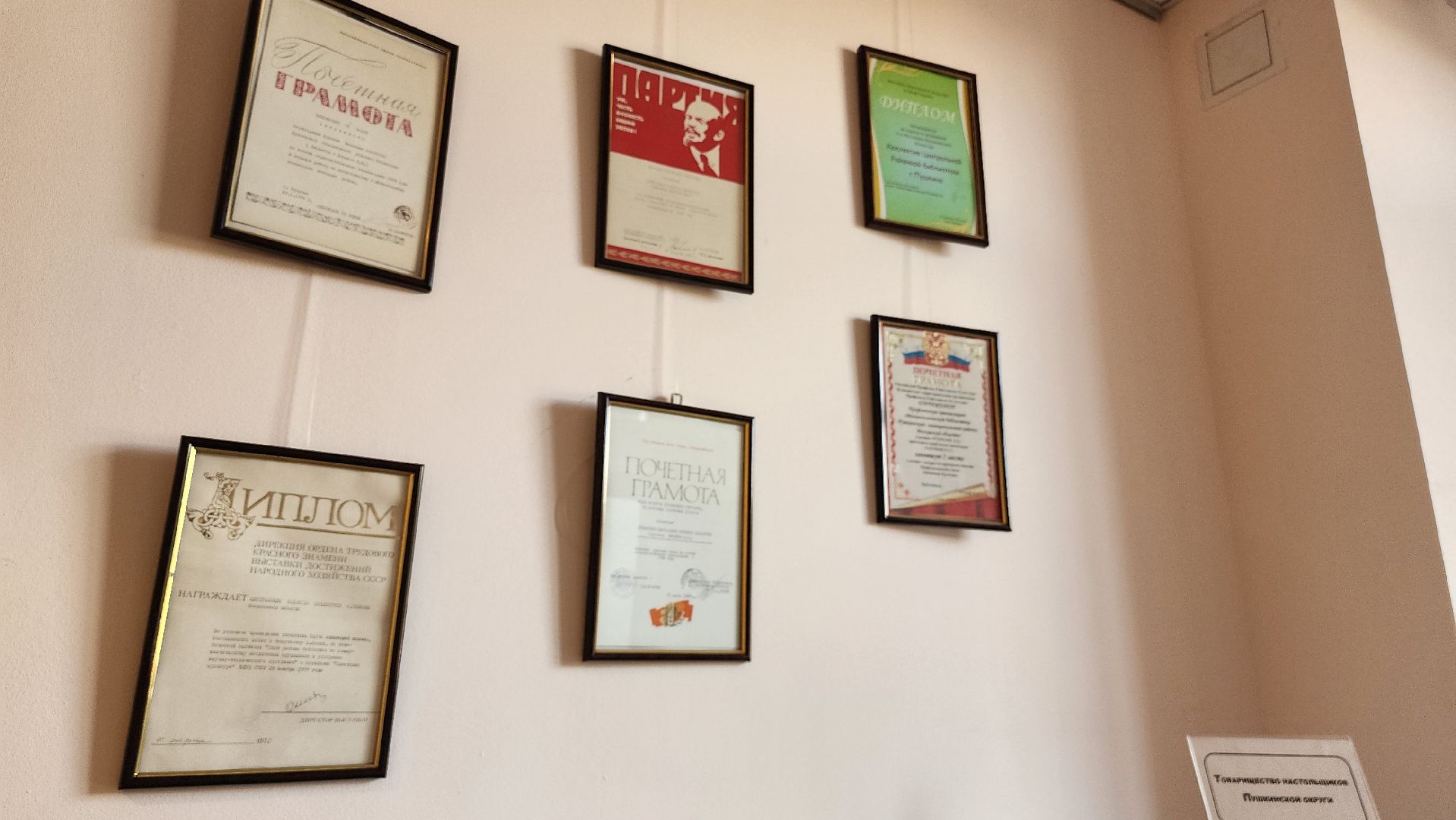 Пушкино, молодежь, настольные игры,