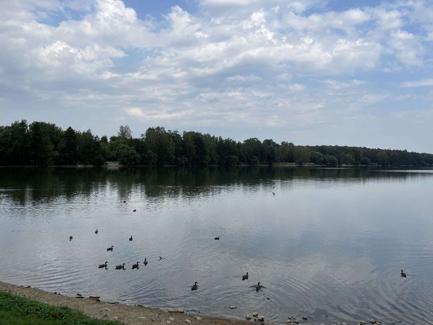 Озеро, благоустройство, парковка, машины