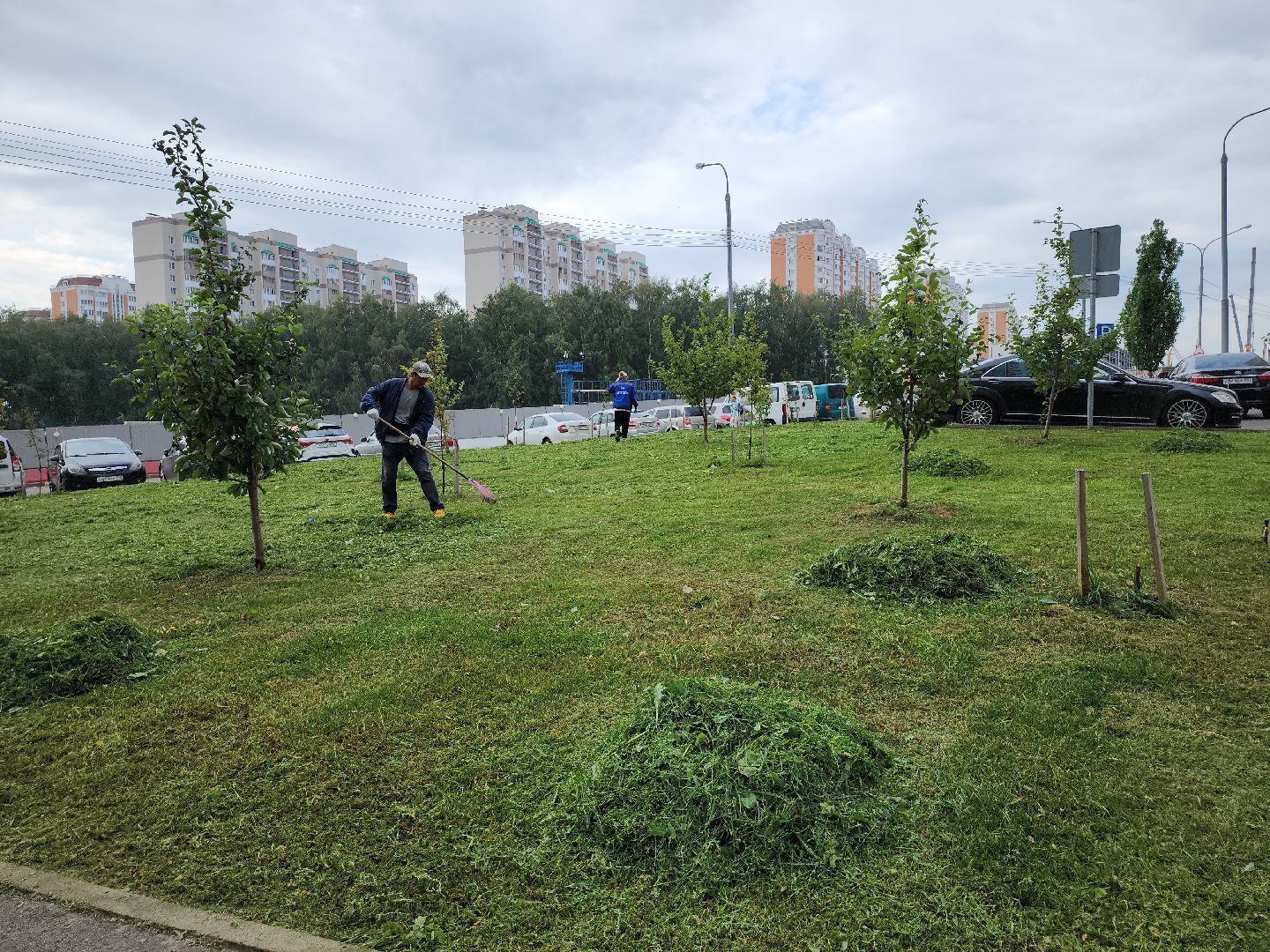 жкх; благоустройство; покос; видное