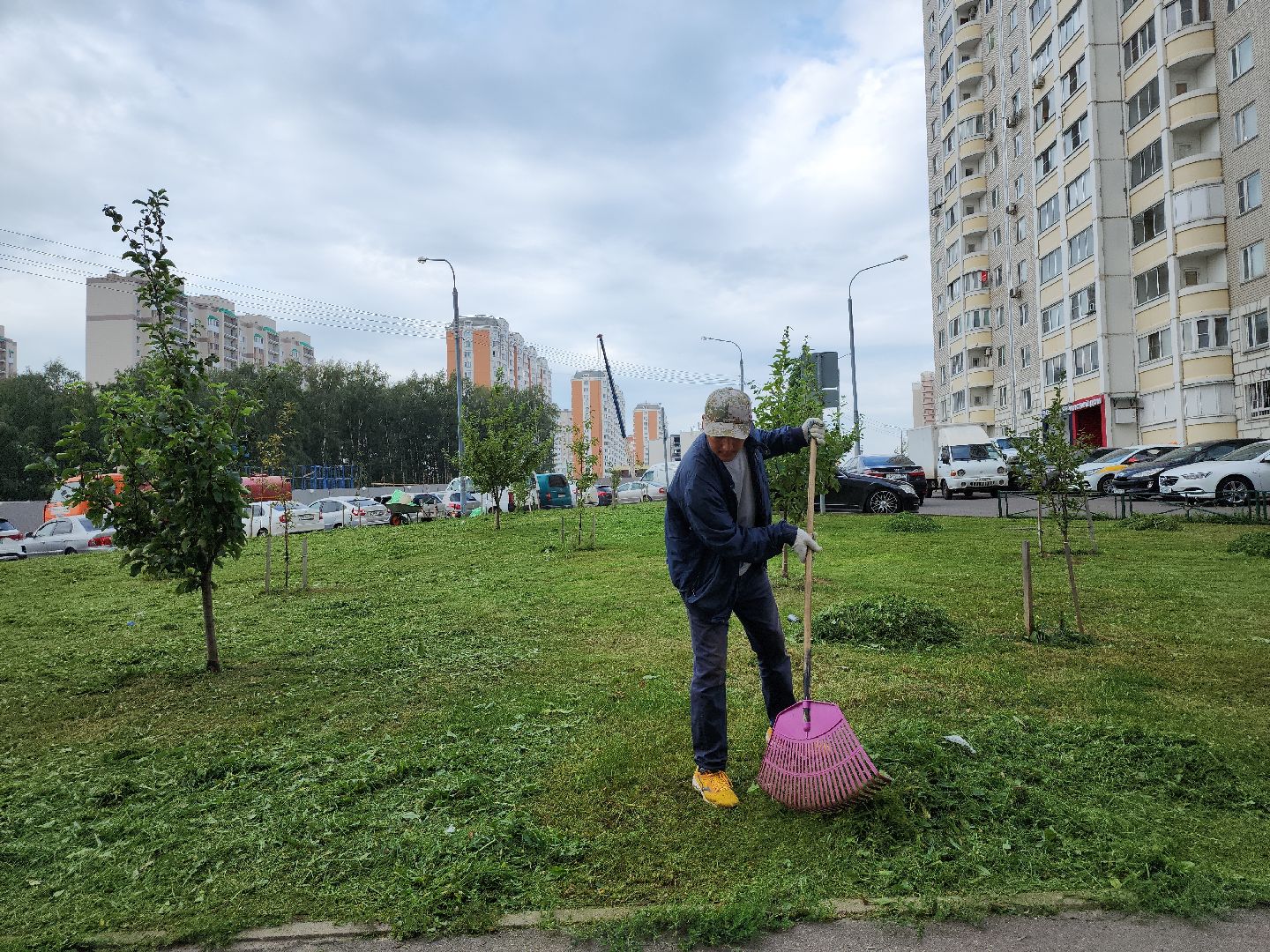 жкх; благоустройство; покос; видное
