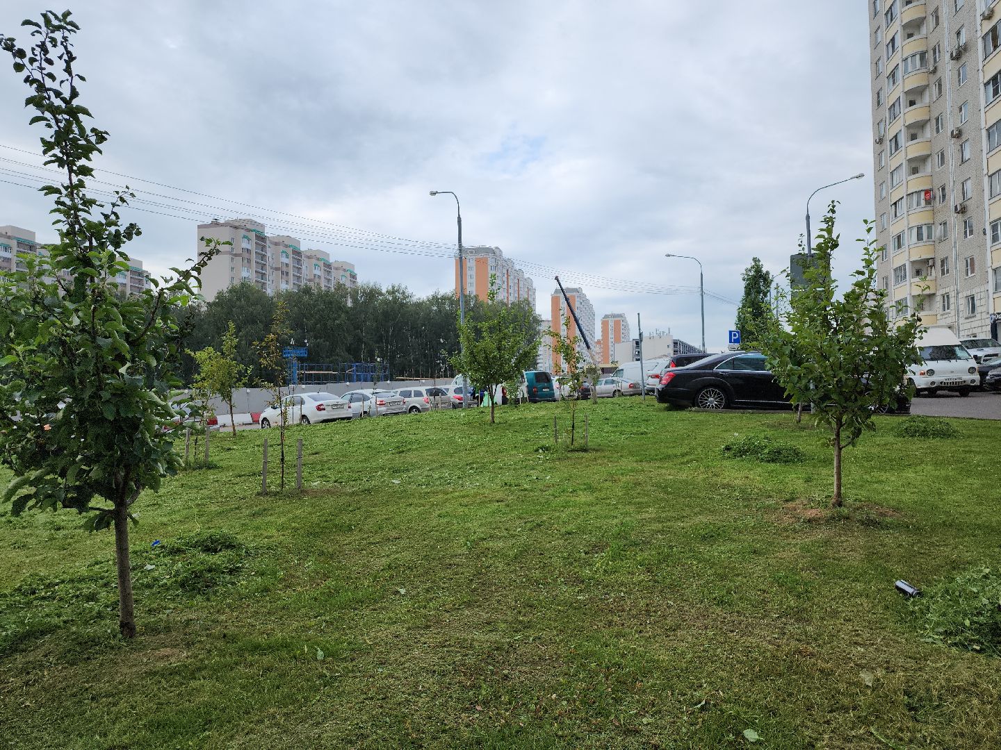 жкх; благоустройство; покос; видное