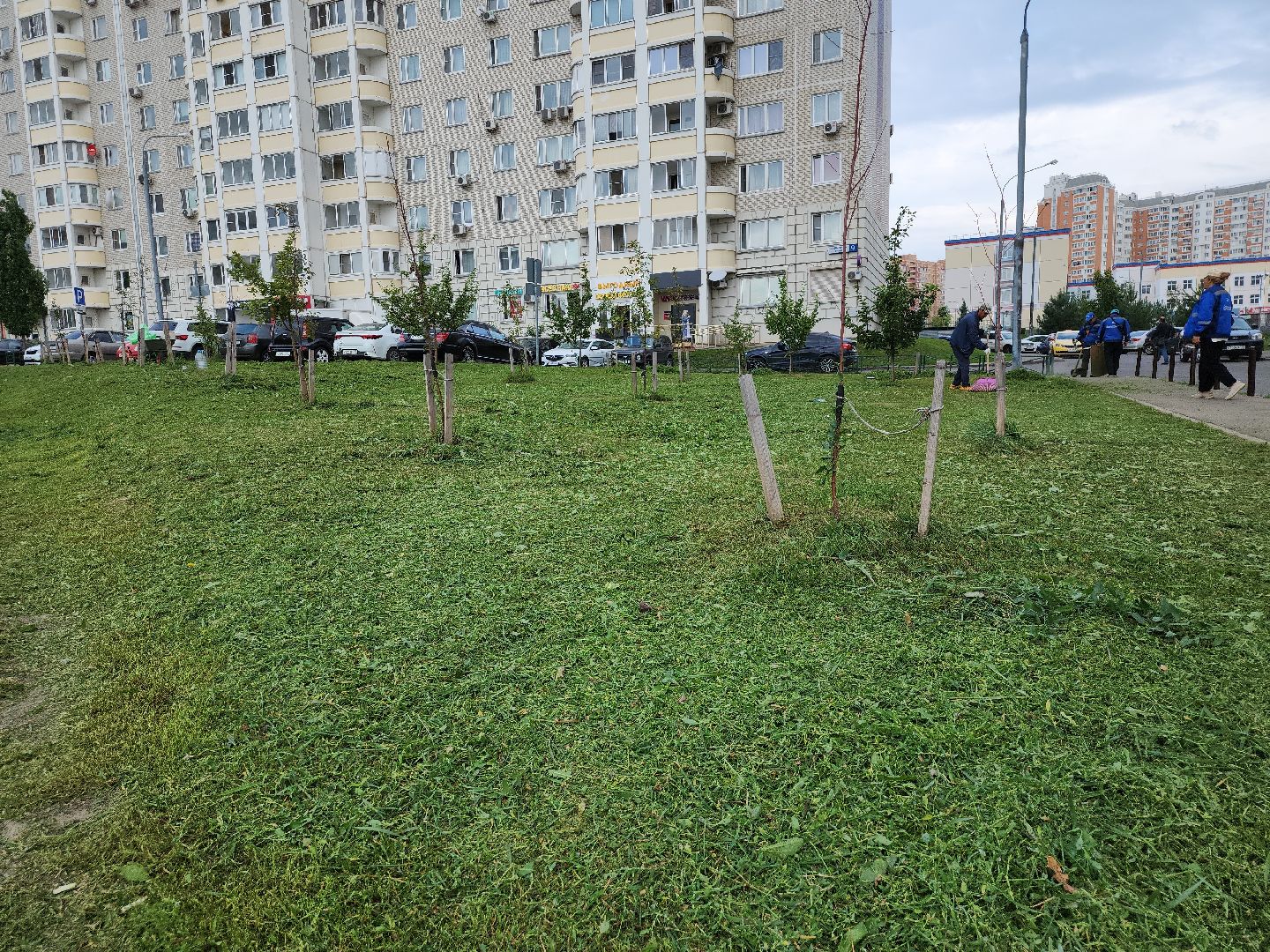 жкх; благоустройство; покос; видное