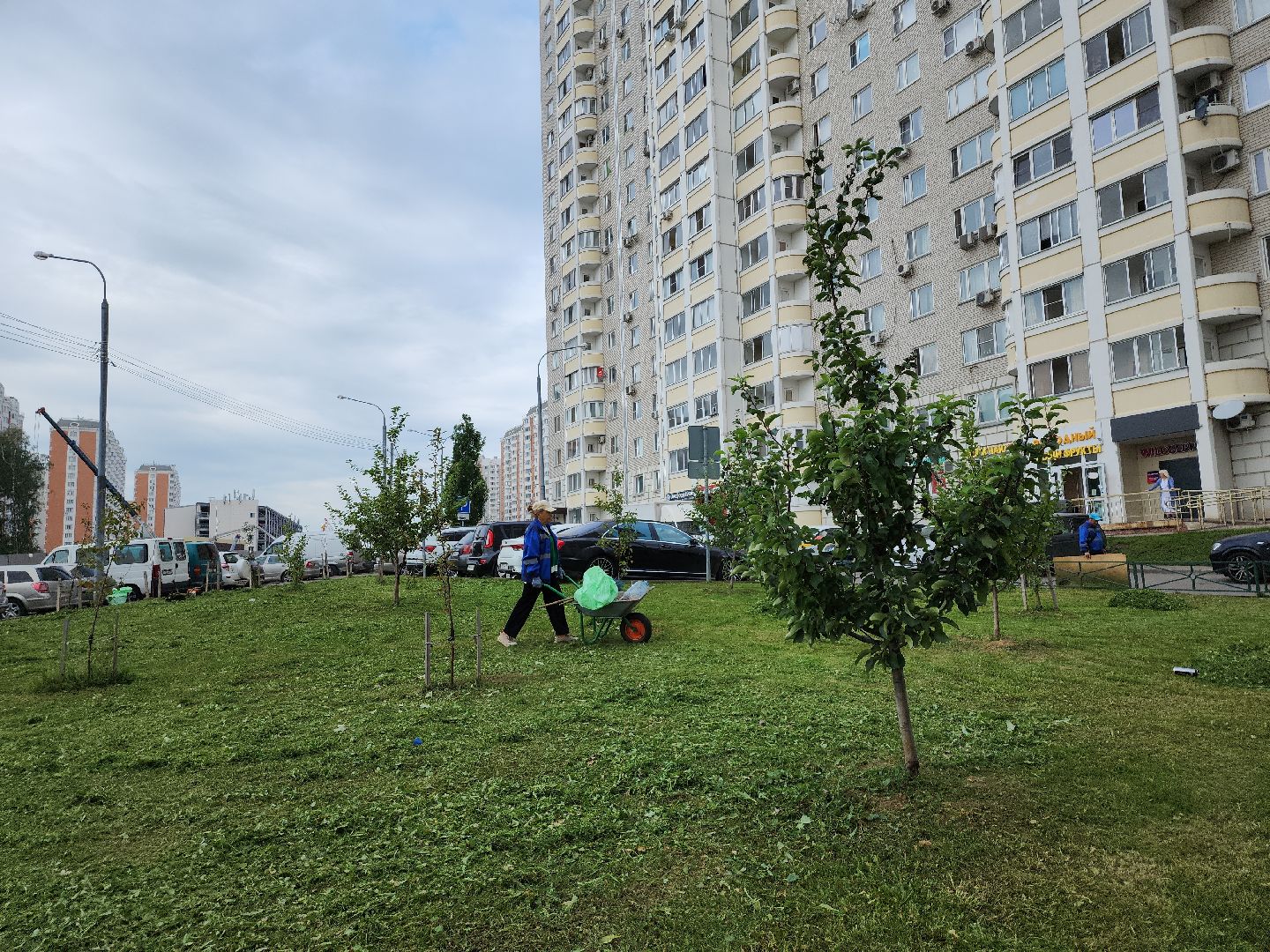 жкх; благоустройство; покос; видное