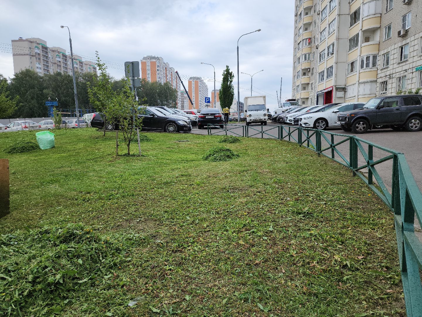 жкх; благоустройство; покос; видное