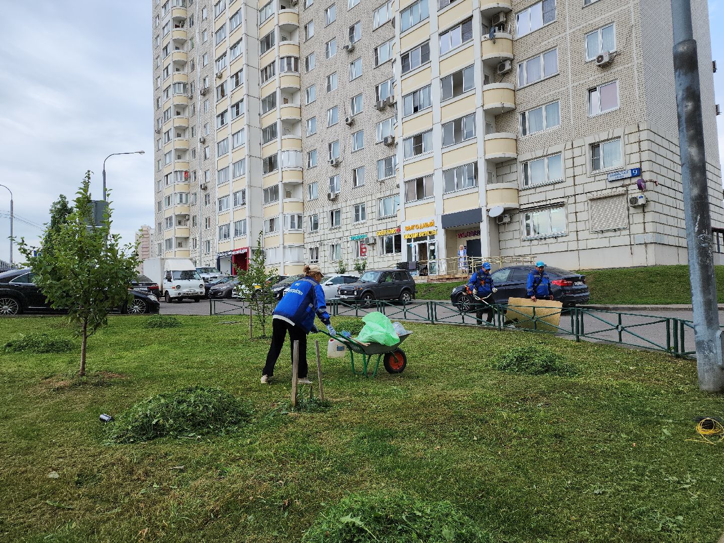 жкх; благоустройство; покос; видное