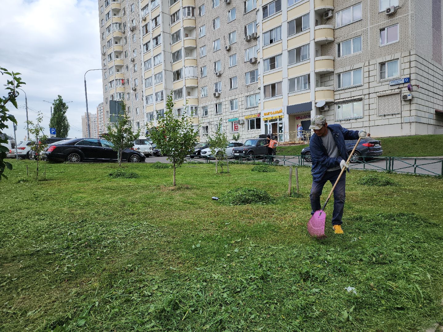 жкх; благоустройство; покос; видное
