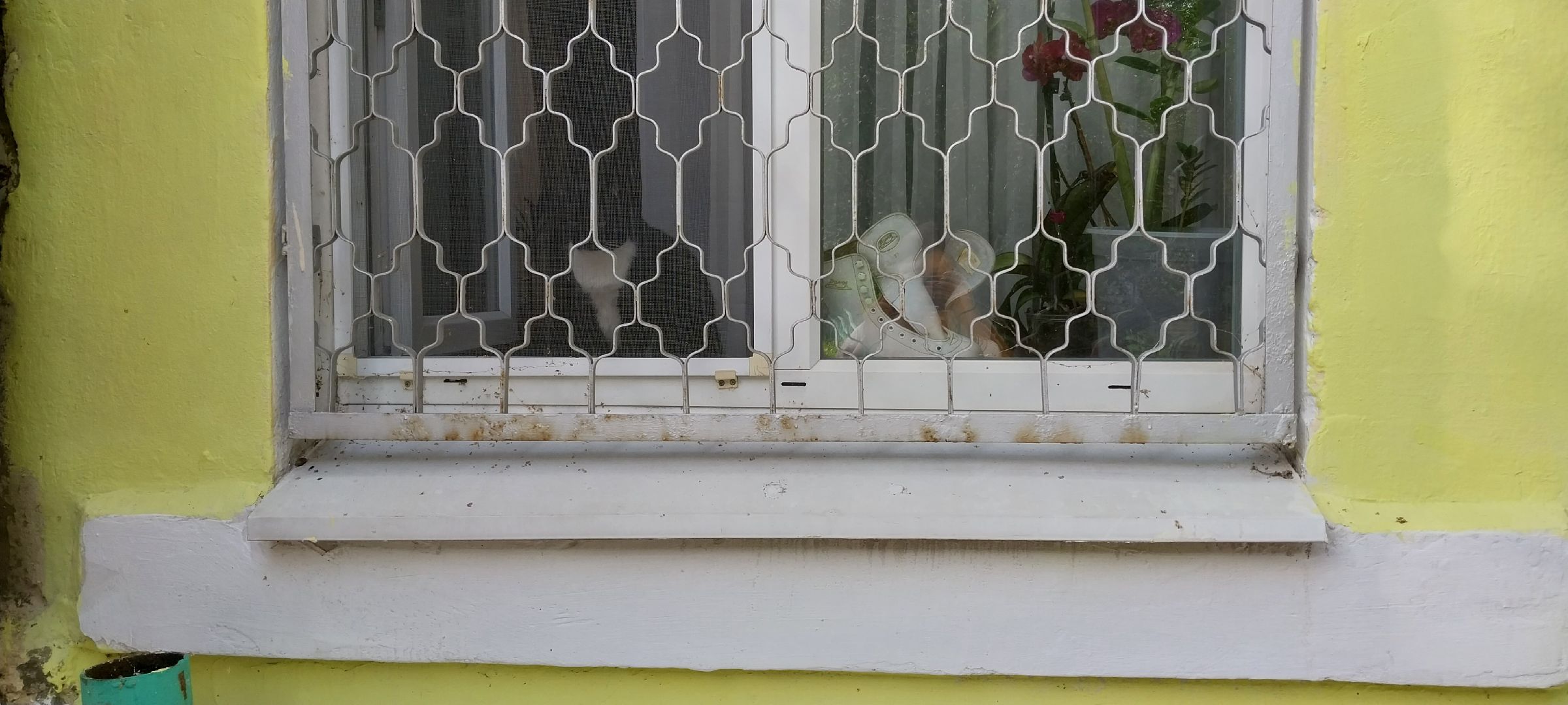 Коломна, ЖКХ, фасад