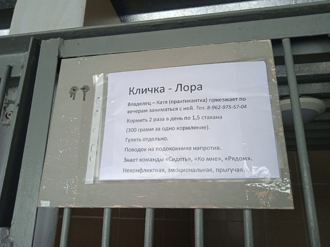 Центроспас, кинологи, собаки, спасатели, овчарки