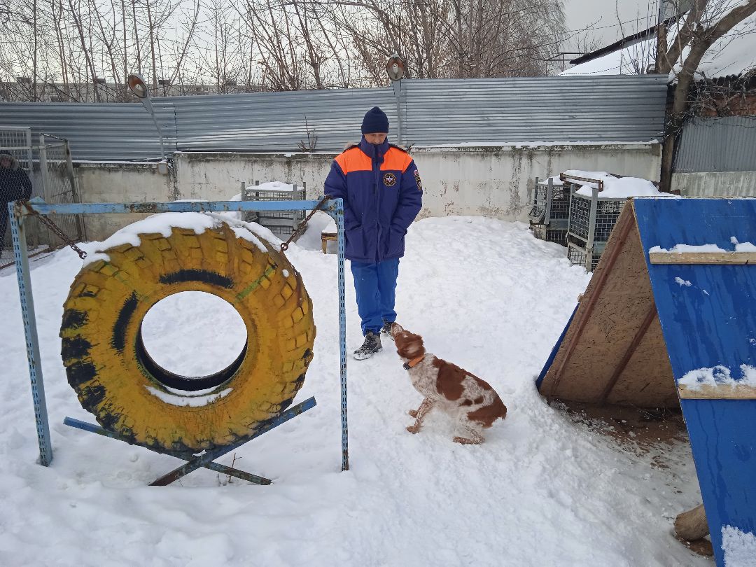 Центроспас, кинологи, собаки, спасатели, овчарки