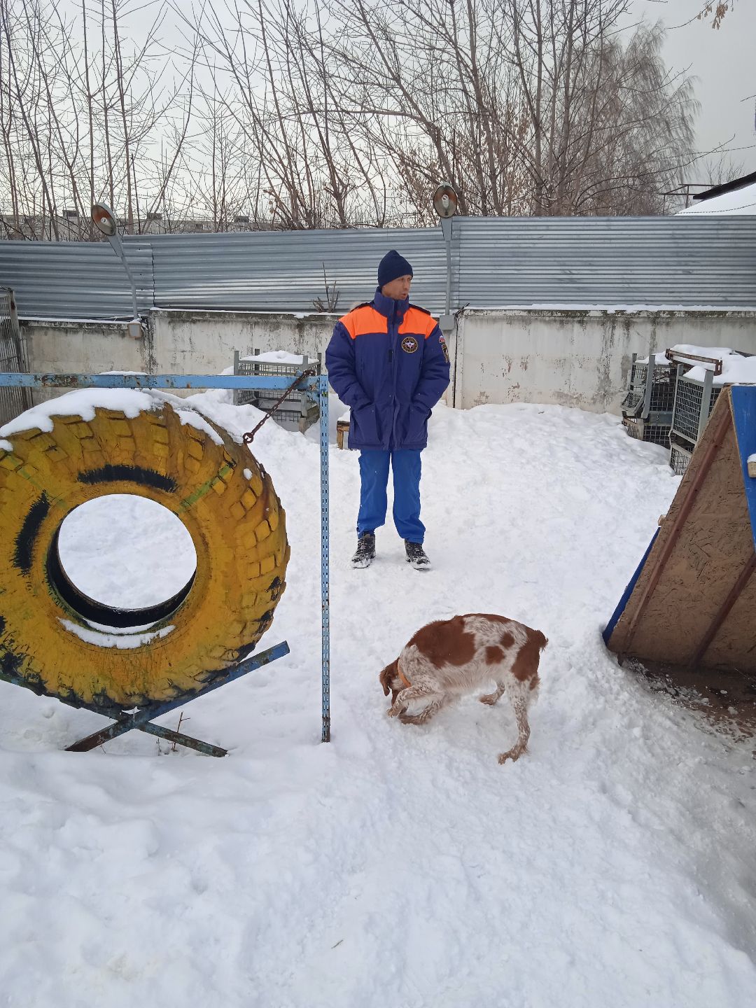 Центроспас, кинологи, собаки, спасатели, овчарки